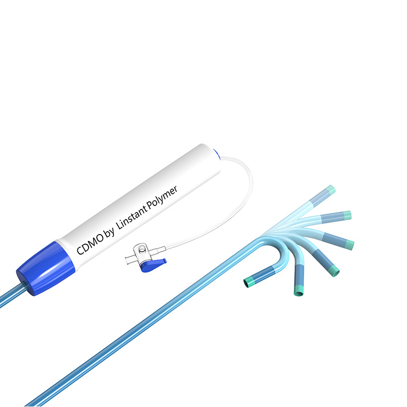 Steerable Sheath