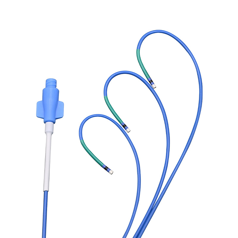 Guiding Catheter